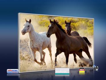 Preview: infrarot Bildheizung 500 Watt 90x60 M10-SL Wild-Pferde