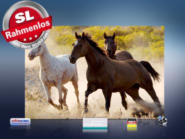 Preview: infrarot Bildheizung 500 Watt 90x60 M10-SL Wild-Pferde