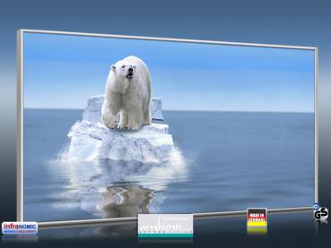Preview: Infrarot Bildheizung 700 Watt 120x60 M10-SL Eisbär