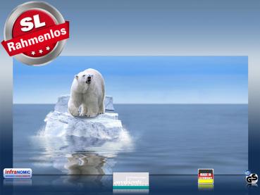 Preview: Infrarot Bildheizung 700 Watt 120x60 M10-SL Eisbär