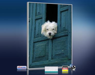 Preview: Infrarot Bildheizung 500 Watt 90x60 M10-SL Hund am Fenster