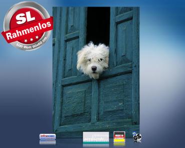 Preview: Infrarot Bildheizung 500 Watt 90x60 M10-SL Hund am Fenster