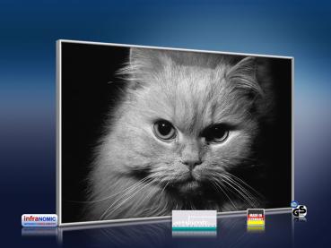 Preview: infrarotheizung mit Bild Bildheizung 500 Watt 90x60 M10-SL Katze