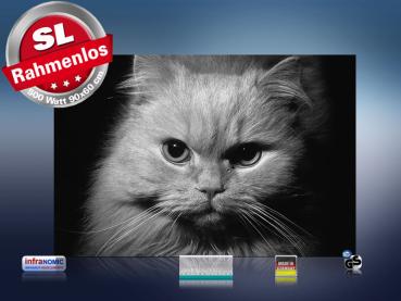 Preview: infrarotheizung mit Bild Bildheizung 500 Watt 90x60 M10-SL Katze