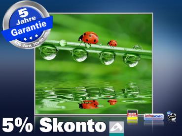 Infrarot Bildheizung 400 Watt 70x60 M10-SL Marienkäfer