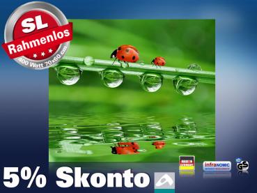 Preview: Infrarot Bildheizung 400 Watt 70x60 M10-SL Marienkäfer