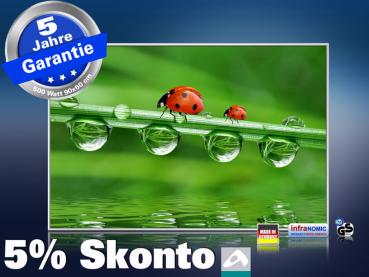 infrarotheizung mit Bild Bildheizung 500 Watt 90x60 M10-SL Marienkäfer