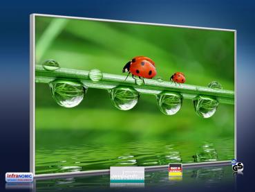 Preview: infrarotheizung mit Bild Bildheizung 500 Watt 90x60 M10-SL Marienkäfer