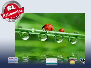 Preview: infrarotheizung mit Bild Bildheizung 500 Watt 90x60 M10-SL Marienkäfer