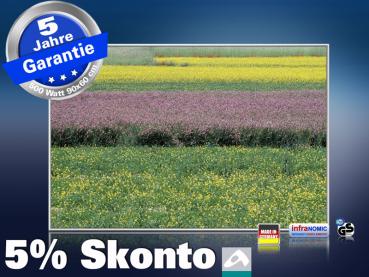 infrarot Bildheizung 500 Watt 90x60 M10-SL spring