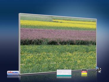 Preview: infrarot Bildheizung 500 Watt 90x60 M10-SL spring