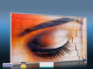 Preview: Infrarot Bildheizung 600 Watt 110x60 M10-SL Auge