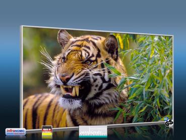 Preview: Infrarot Bildheizung 600 Watt 110x60 M10-SL Tiger
