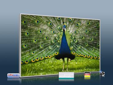 Preview: infrarot Bildheizung 500 Watt 90x60 M10-SL Pfau