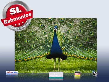 Preview: infrarot Bildheizung 500 Watt 90x60 M10-SL Pfau