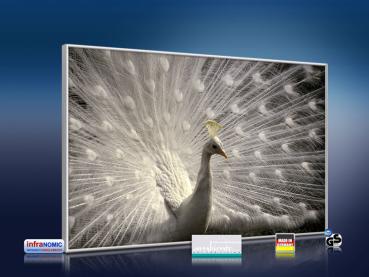 Preview: infrarot Bildheizung 500 Watt 90x60 M10-SL Pfau II