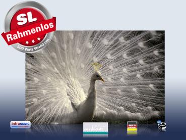 Preview: infrarot Bildheizung 500 Watt 90x60 M10-SL Pfau II