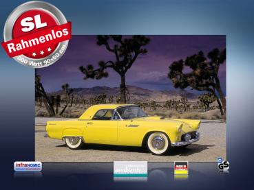 Preview: Infrarot Bildheizung 500 Watt 90x60 M10-SL Ford Thunderbird