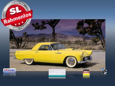 Preview: Infrarot Bildheizung 600 Watt 110x60 M10-SL Ford Thunderbird