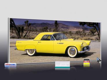 Preview: Infrarot Bildheizung 900 Watt 140x60 M10-SL Ford Thunderbird