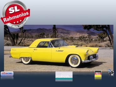 Preview: Infrarot Bildheizung 900 Watt 140x60 M10-SL Ford Thunderbird