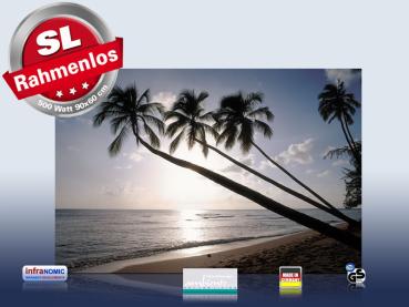 Preview: Infrarot Bildheizung 500 Watt 90x60 M10-SL Barbados