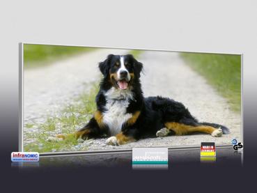 Preview: Infrarot Bildheizung 900 Watt 140x60 M10-SL Berner Sennhund