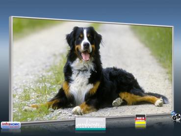 Preview: Infrarot Bildheizung 700 Watt 120x60 M10-SL Berner Sennhund