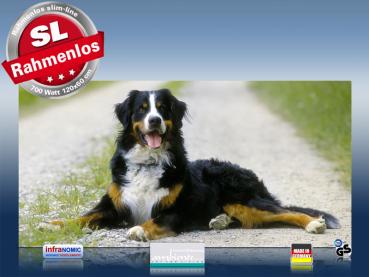 Preview: Infrarot Bildheizung 700 Watt 120x60 M10-SL Berner Sennhund