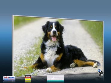 Preview: Infrarot Bildheizung 600 Watt 110x60 M10-SL Berner Sennhund