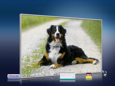 Preview: infrarot Bildheizung 500 Watt 90x60 M10-SL Berner Sennhund