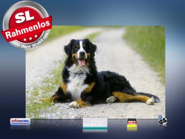 Preview: infrarot Bildheizung 500 Watt 90x60 M10-SL Berner Sennhund