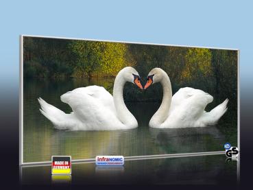 Preview: Infrarot Bildheizung 900 Watt 140x60 M10-SL Schwäne