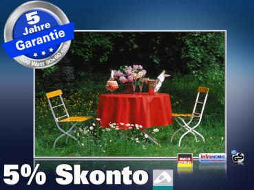 infrarot Bildheizung 500 Watt 90x60 M10-SL Sektfrühstück