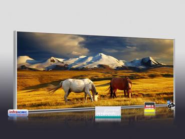 Preview: Infrarot Bildheizung 900 Watt 140x60 M10-SL Wildpferde