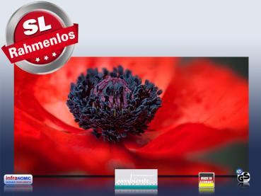 Preview: Infrarotheizung als Bild Bildheizung 700 Watt 120x60 M10-SL Mohn