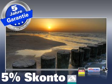 Infrarot Bildheizung 700 Watt 120x60 M10-SL sundown