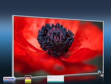 Preview: Infrarot Bildheizung 600 Watt 110x60 M10-SL Mohn