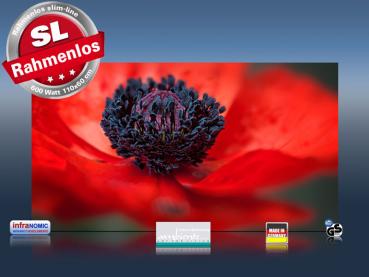 Preview: Infrarot Bildheizung 600 Watt 110x60 M10-SL Mohn