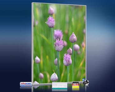 Preview: Infrarot Bildheizung 500 Watt 90x60 M10-SL Schnittlauch