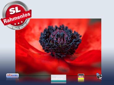 Preview: Infrarot Bildheizung 500 Watt 90x60 M10-SL Mohn