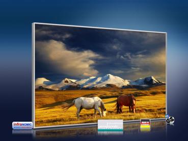 Preview: infrarot Bildheizung 500 Watt 90x60 M10-SL Wildpferde