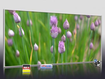 Preview: Infrarot Bildheizung 900 Watt 140x60 M10-SL Schnittlauch quer