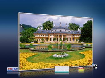 Preview: infrarot Bildheizung 500 Watt 90x60 M10-SL Schloss Pillnitz
