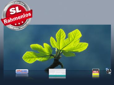 Preview: Infrarotheizung als Bild Bildheizung 900 Watt 140x60 M10-SL Ahornblatt