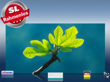Preview: Infrarot Bildheizung 700 Watt 120x60 M10-SL Ahornblatt