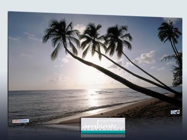 Preview: Infrarot Bildheizung 600 Watt Rahmenlos slim-line 110x60 Barbados