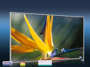 Preview: Infrarot Bildheizung 600 Watt 110x60 M10-SL Strelitzie