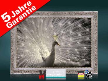 Infrarot Bildheizung 500 Watt 90x60 Stilrahmen StSi Pfau II