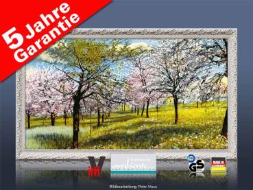 Infrarotheizung als Bild Bildheizung 600 Watt 110x60 StAw Baumblüte